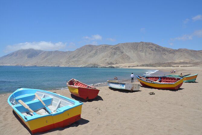 Coast and Atacama Desert English Bay and Sugar Loaf From La Serena