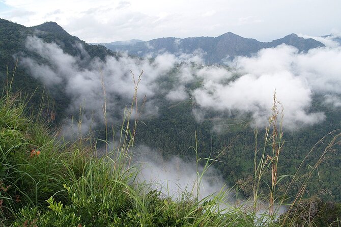 Coimbatore to Ooty- Transfers+Hotel+Sightseeing - Package Inclusions