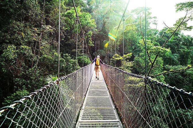 Combo: Day Trip to Hanging Bridges + ZipLine in Monteverde