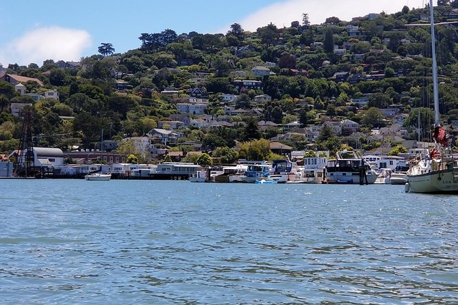 Combo Small-Group Tour: SF City Plus Muir Woods & Sausalito - Tour Overview and Highlights