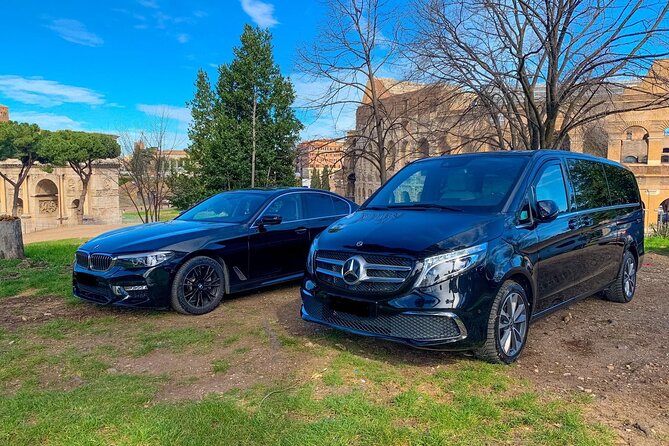 Copenhagen Roskilde Airport (RKE) to Copenhagen – Round-Trip Private Transfer