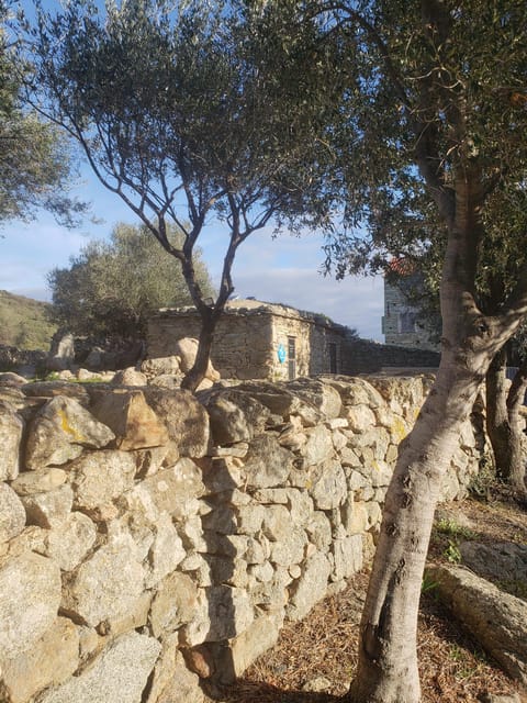 Corsica: Organic Wine Tasting & Local Lunch
