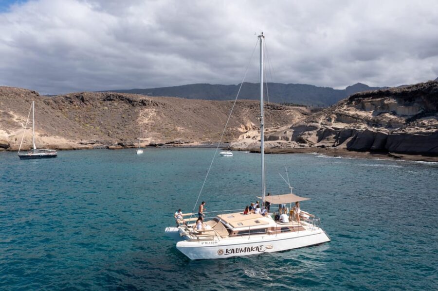 Costa Adeje: Catamaran Tour, Snorkelling, Snacks & Drinks - Tour Overview and Pricing