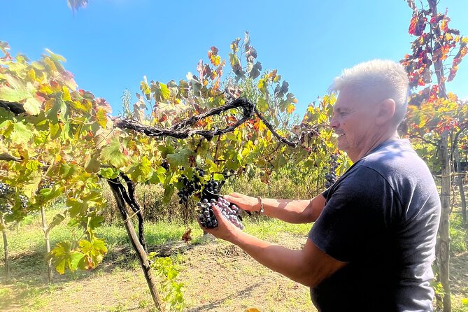 Craftsmanship and Flavors of Sorrento and Amalfi Coast