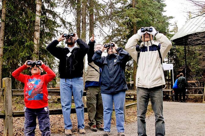 Creative Soul Scavenger Hunt Anchorage on the Tony Knowles Trail - Event Overview