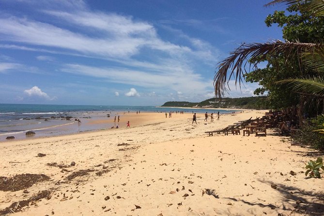 Crown Red – Discovery Coast – Day Trip From Porto Seguro