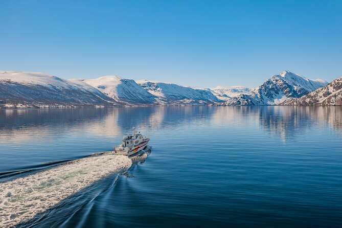 Cruise to the Fishing Village Øksfjord Including Lunch
