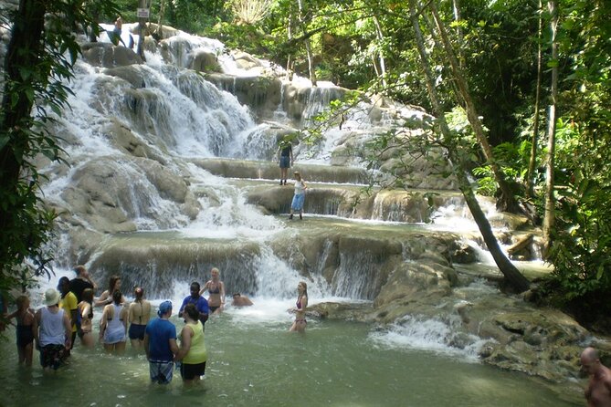 Custom COMBO to Mystic Mountain, Dunns River Falls & Blue Hole