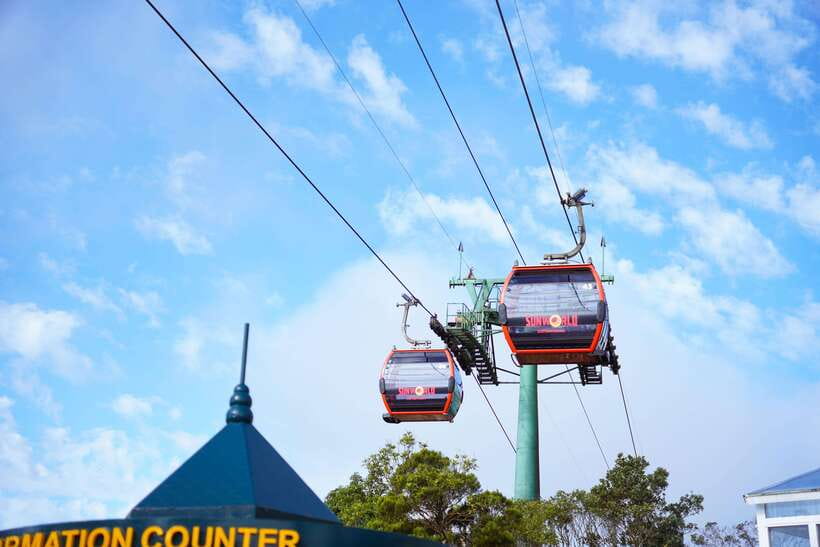 Da Nang: Ba Na Hills Tour With Guide and Transfer - Tour Overview and Pricing