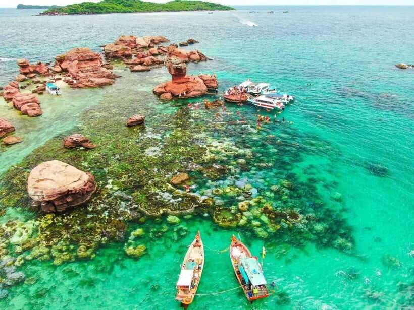 Da Nang: Cham Island Snorkeling, Swimming & Scenic Adventure - Tour Overview and Pricing