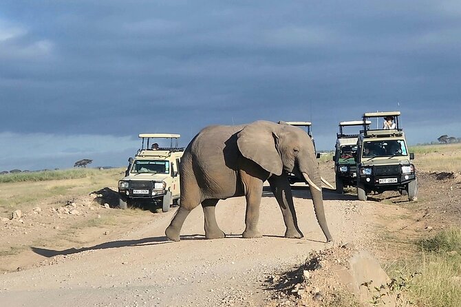 Day Tour to Amboseli National Park From Nairobi