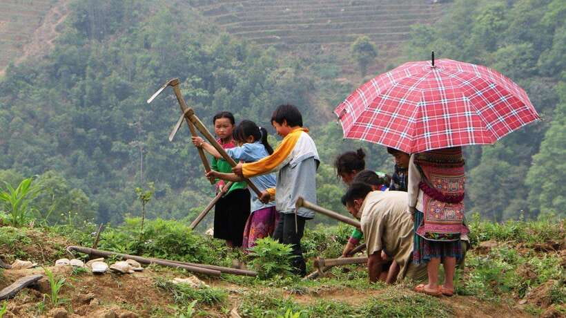 Day Trek Adventure With Local Guides