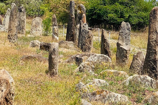 Day Trip to Adadi Rock and Tiya Archeological Excursion