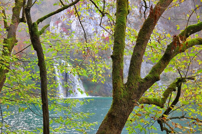 Day Trip to Plitvice Lakes National Park From Sibenik