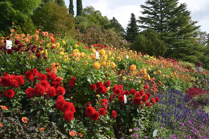 Day Trip to the Island of Mainau With Highlights on Lake Constance From / to Oberstaufen