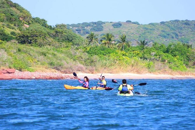 Deer Island Kayak Tour