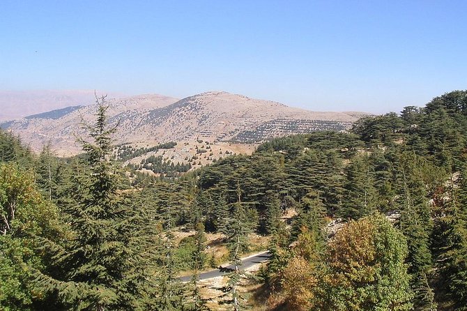DeirElkamar, Beitdeen, Moussa Palace, EinwZien Grotto,Full-Day Trip PRIVATE-CAR