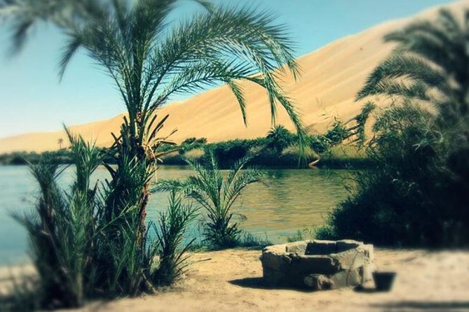 Desert Camping With The Bedouins Under The Stars – White & Black Deserts