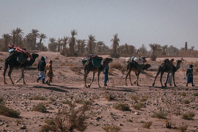 Desert Hike for 6 Days and 5 Nights