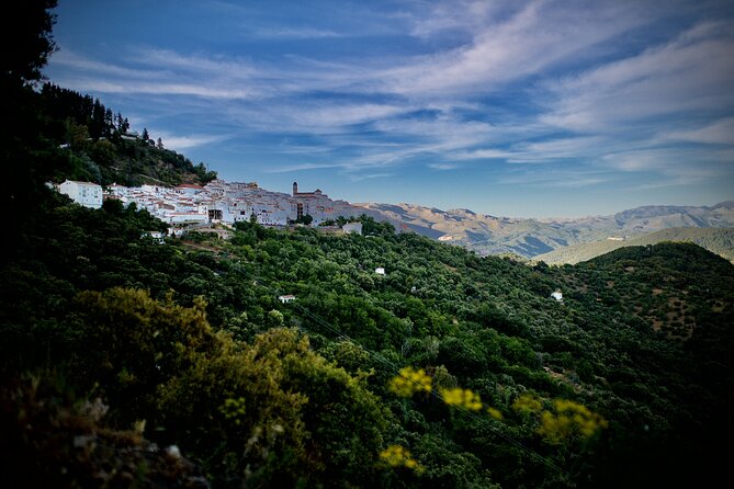 Dining Experience in the Mountains & Discovering of Andalusia