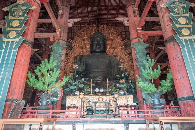 Discover Ancient Nara: Private Car Tour From Kyoto or Osaka - Exploring Nara: a Glimpse Into Japans Ancient Capital