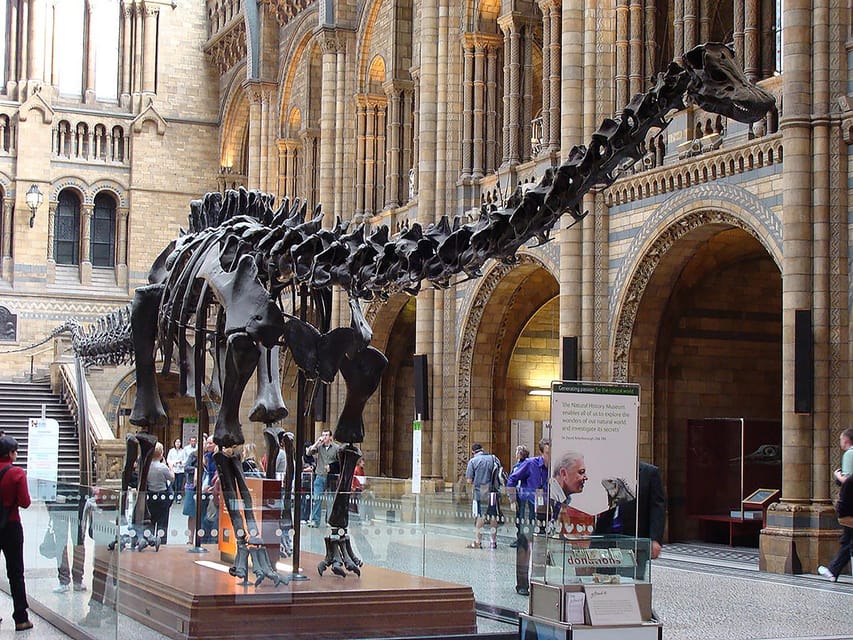 Discover Evolution at the Natural History Museum