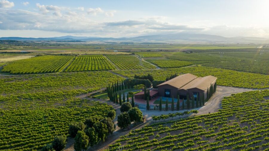 Discover La Rioja: Guided Winery Tour & Wine Tasting