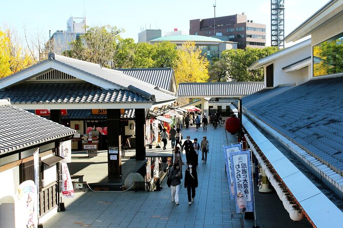 Discover the Wonders of Kumamoto Tour Ramen Lunch Included