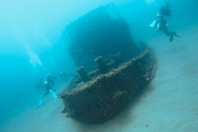 Diving in Kansai, Japan for License Holders