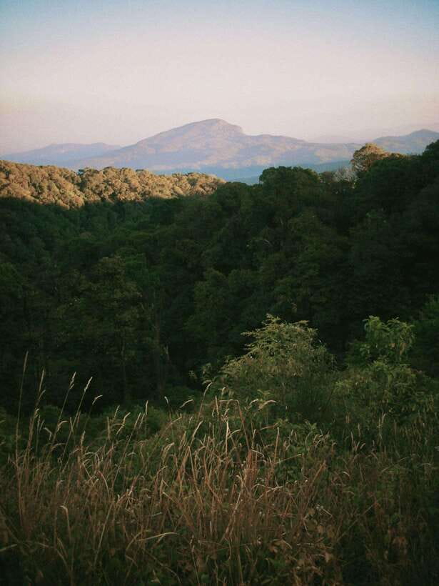 Doi Inthanon: Kew Mae Pan Viewpoint Trekking Day Tour