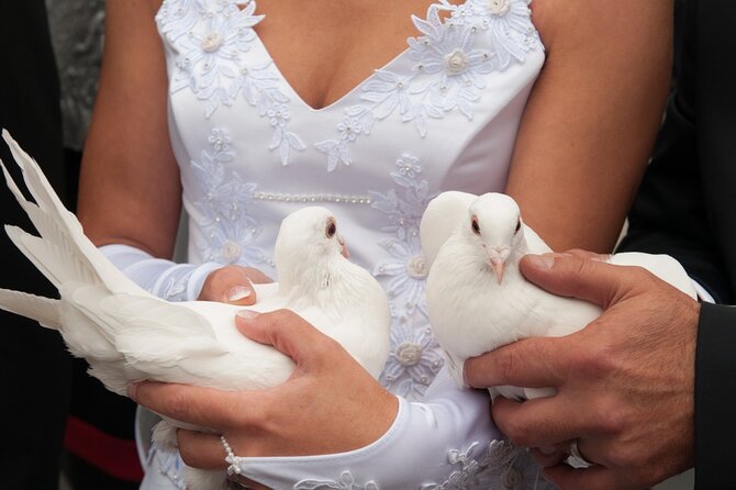 Dove Release Ocho Rios, Jamaica