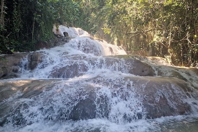 Dunns River Falls With Private Transportation From Montego Bay