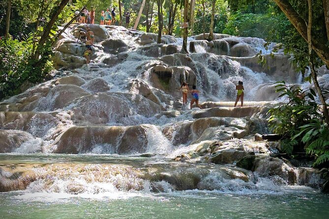 Dunns River Tour