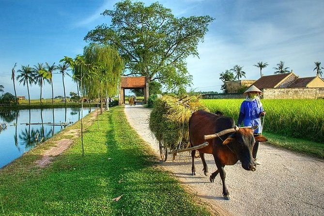 Duong Lam Ancient Village Tour Review