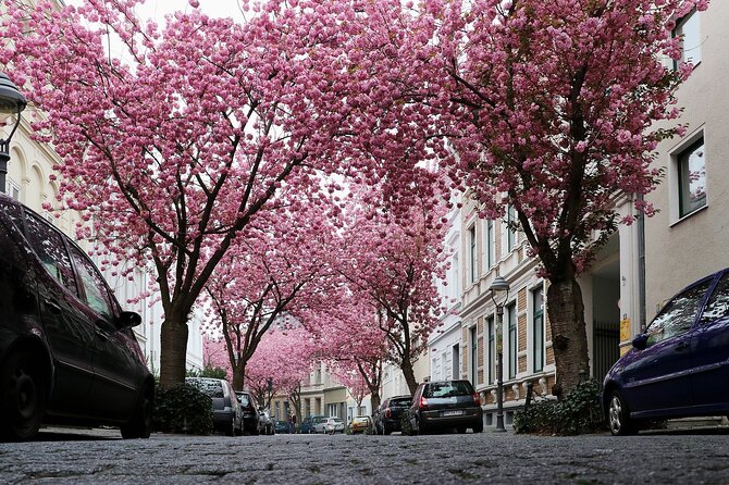 E-Scavenger Hunt Bonn: Explore the City at Your Own Pace