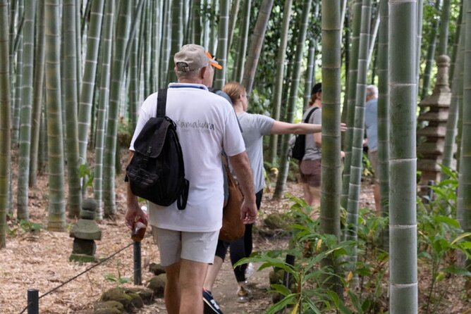 【Kamakura Highlights 5 Hour】Budget Group Walking Tour With Lunch