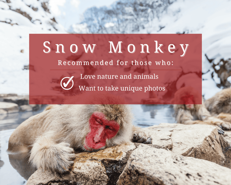 【Private】[Snow Monkey Park+Zenkoji Temple] From Nagano/Myoko