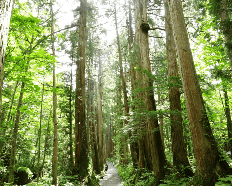 【Private】[Snow Monkey + Togakushi Shrine] From Nagano/Myoko