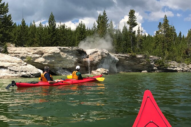 Early Morning Guided Kayak Tour - Spotting the Wildlife