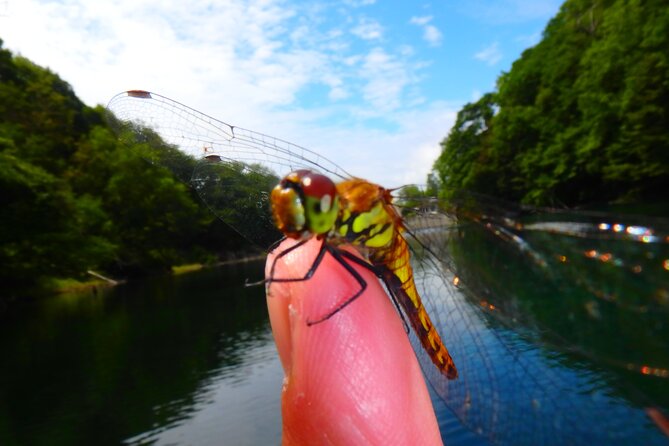 Early Morning Premium Private Clear-Bottom Kayak Tour - Tour Overview