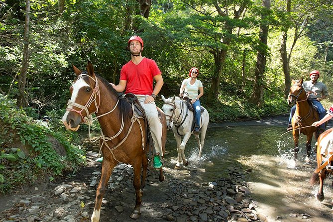 Eco-Adventure Park Premium Day Pass
