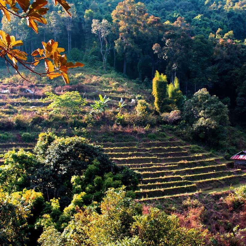 Eco-Friendly: Doi Inthanon & Pha Dok Siew Trekking Day Trip - Trip Overview and Pricing