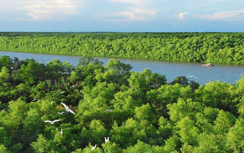 ECO TOUR FROM HO CHI MINH: CAN GIO MANGROVE FOREST