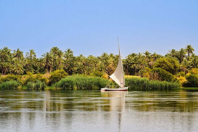 Egypt Nile Cruise From Luxor to Aswan: 5 Days Abu Simbelw/ Private Sightseeing
