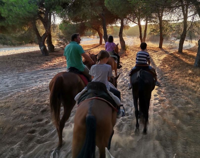 El Rocío: Doñana National Park Horseback Riding Tour