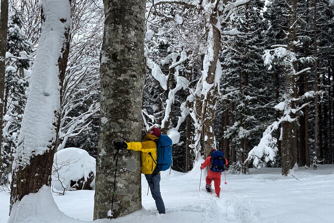 EN/CN Guided Snowshoeing and Snow Monkey Tour in Nagano - Meeting and Pickup
