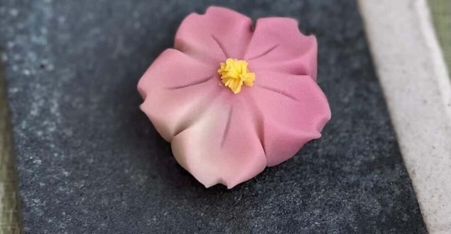 Enjoy Japan With Five Senses, Wagashi & Tea Ceremony Tokyo