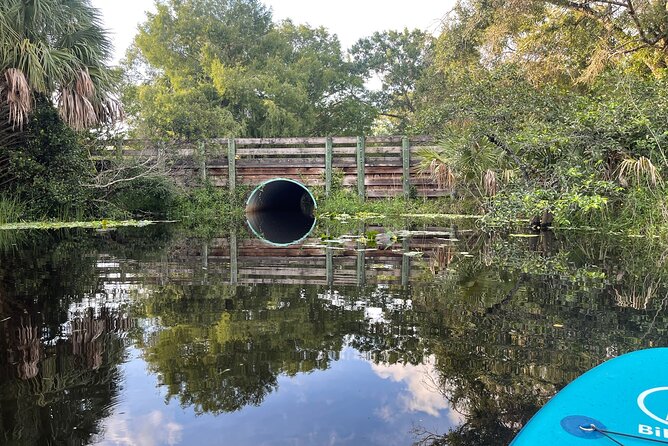 Epic Paddleboarding & Wildlife Adventure