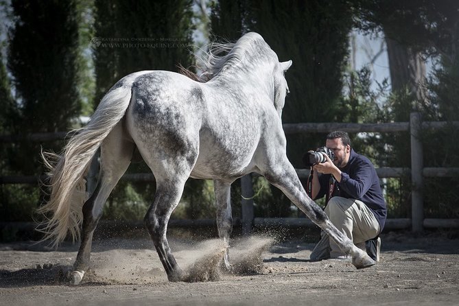 Equestrian Photography Class - Class Overview and Details