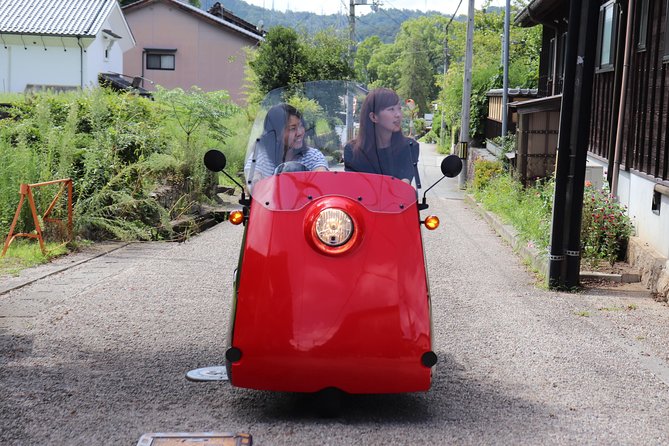 EV Car Rental Basket Group Local Tour & Guide